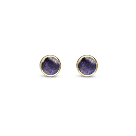 9ct Yellow Gold Blue John 4mm Stud Earrings