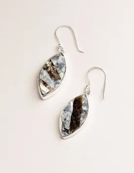 Astrophyllite Earrings