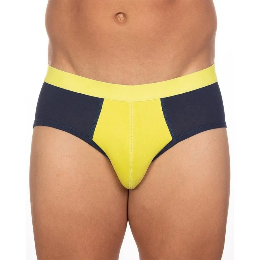 BASIX STAN BRIEF