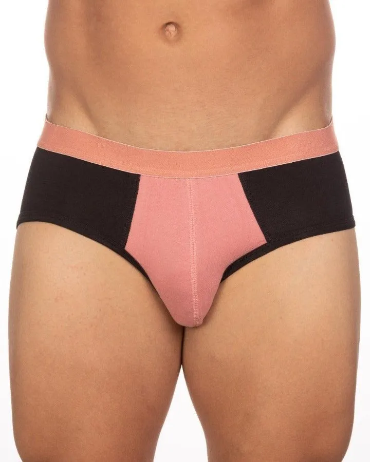 BASIX STAN BRIEF